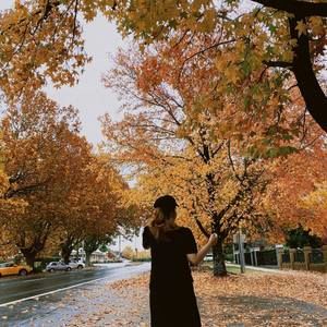 Meet your Posher, Bảo